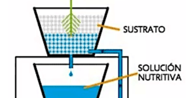 sistema de riego hidroponico flujo y reflujo para plantas con sustrato