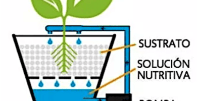 sistema de riego hidroponico goteo para plantas con sustrato