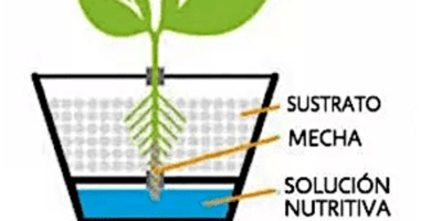 sistema de riego hidroponico mecha para plantas con sustrato